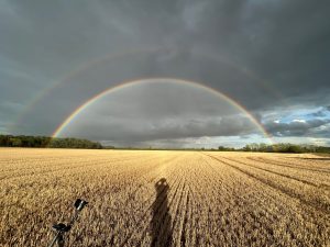 Metal Detecting in Norfolk